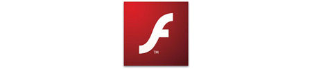 click aqu&iacute; para descargar flash